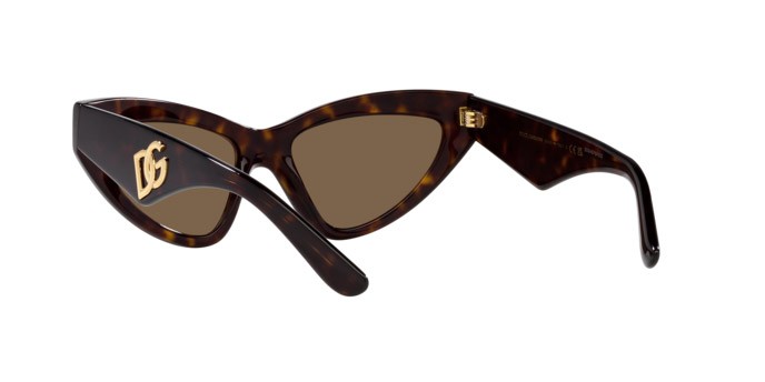 Sunglasses Dolce & Gabbana DG 4439 (502/73) color havana shape cat eye lenses marrone scuro