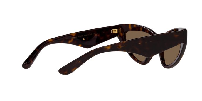 Sunglasses Dolce & Gabbana DG 4439 (502/73) color havana shape cat eye lenses marrone scuro
