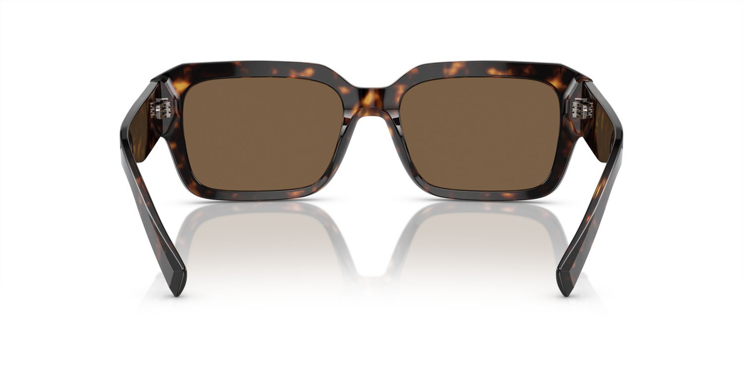 Occhiali da sole Dolce & Gabbana DG 4460 (502/73) colore havana forma quadrato lenti marrone scuro
