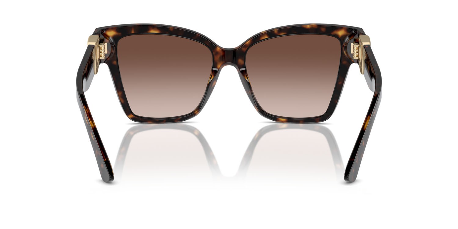 Sunglasses Dolce & Gabbana DG 4470 (502/13) color havana shape square lenses marrone sfumato