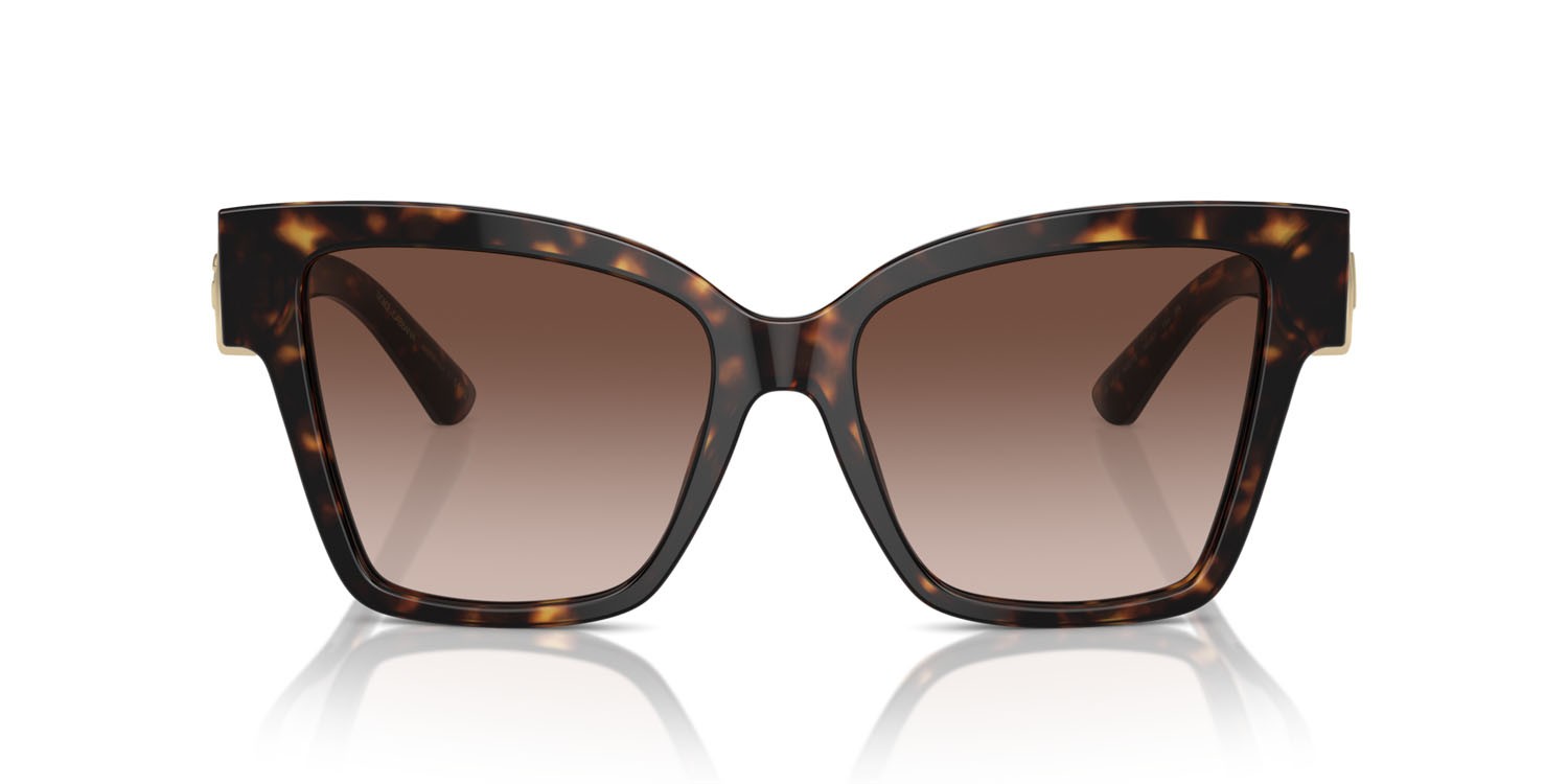 Sunglasses Dolce & Gabbana DG 4470 (502/13) color havana shape square lenses marrone sfumato
