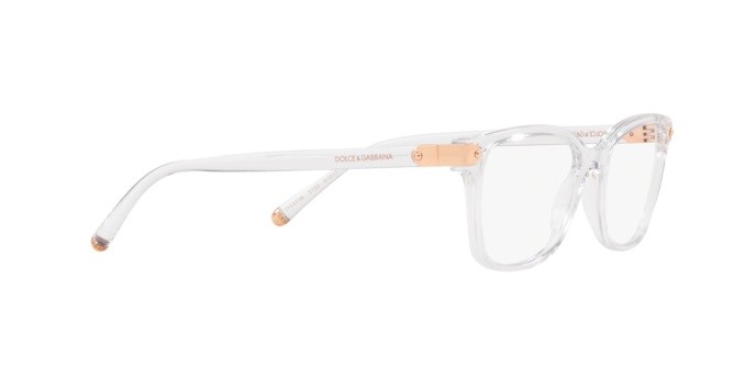 Eyeglasses Dolce & Gabbana DG 5036 (3133) color crystal shape butterfly lenses demo lens