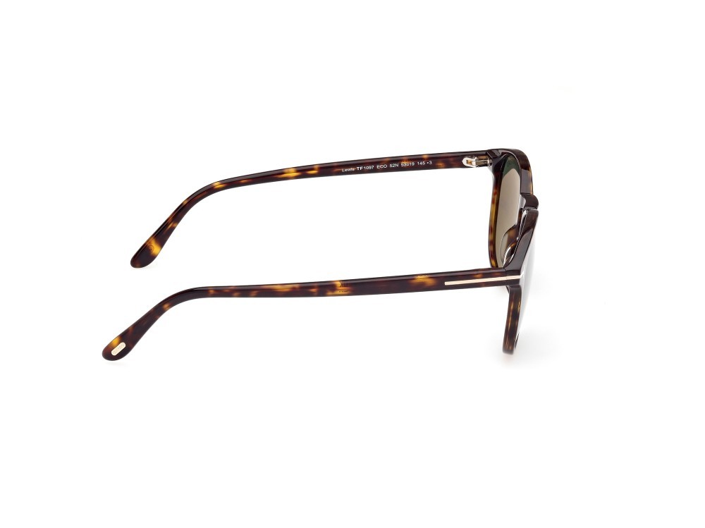Sunglasses Tom Ford Lewis FT1097 (52N) color avana scura shape round lenses verde
