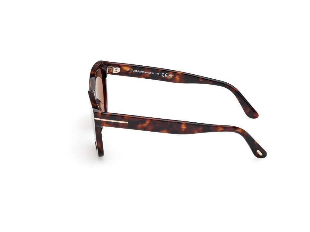 Sunglasses Tom Ford Haylay FT1216 (52H) color avana scura shape square lenses marrone polar.