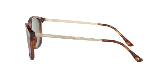 Sonnenbrillen Giorgio Armani AR 8128 (58109A) farbe havana form pantos gläser polar green