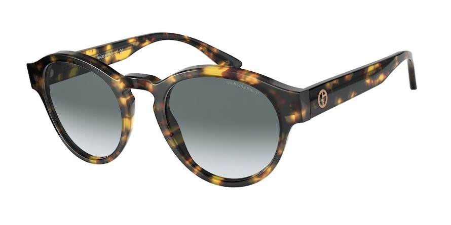 Sunglasses Giorgio Armani AR 8146 (587486) color yellow havana shape pantos lenses light blue gradient grey