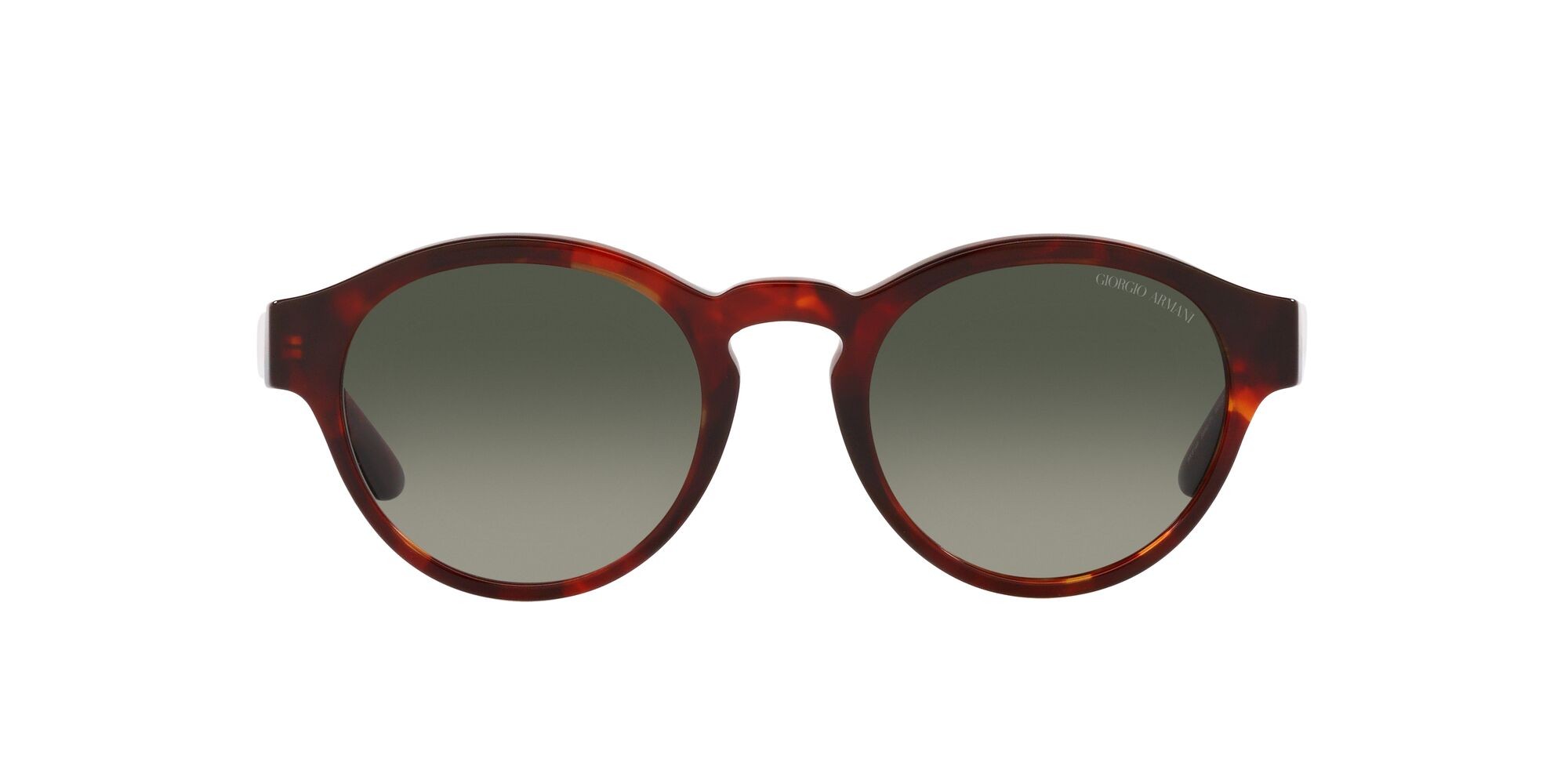 Sonnenbrillen Giorgio Armani AR 8146 (596271) farbe havana rosso form pantos gläser grigio sfumato