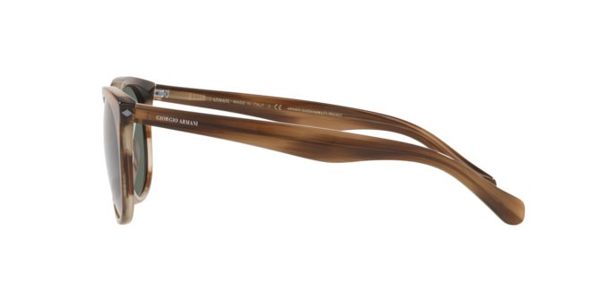 Sonnenbrillen Giorgio Armani AR 8149 (590058) farbe striped brown form quadratisch gläser polar green