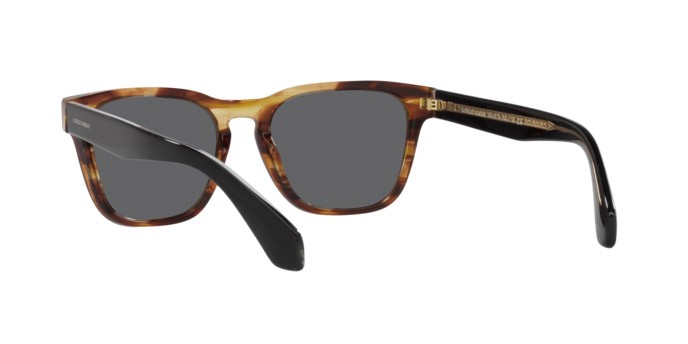 Sonnenbrillen Giorgio Armani AR 8155 (5941B1) farbe striped honey form rechteckig gläser dark grey