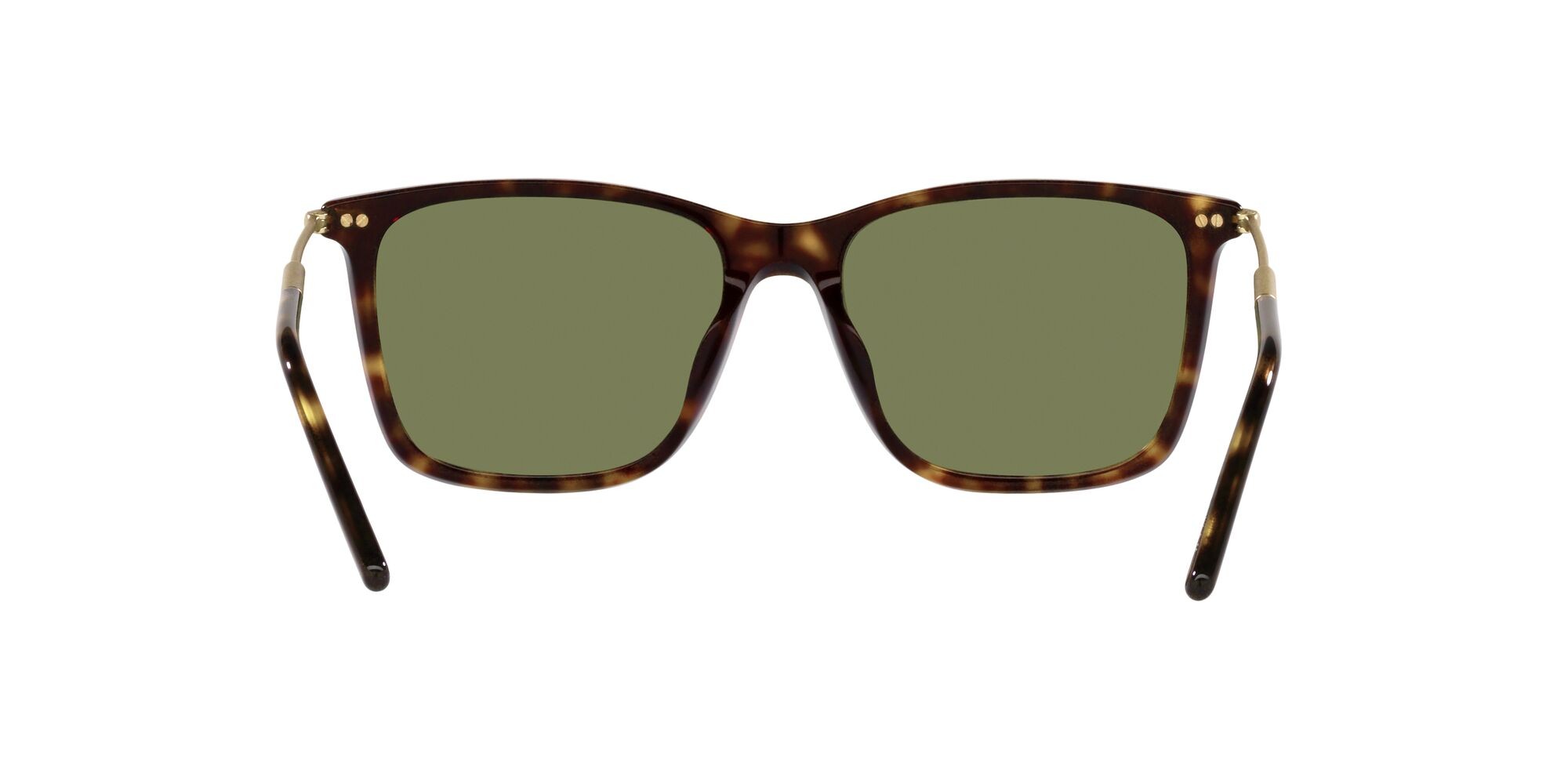 Occhiali da sole Giorgio Armani AR 8176 (50262A) colore havana forma quadrato lenti verde