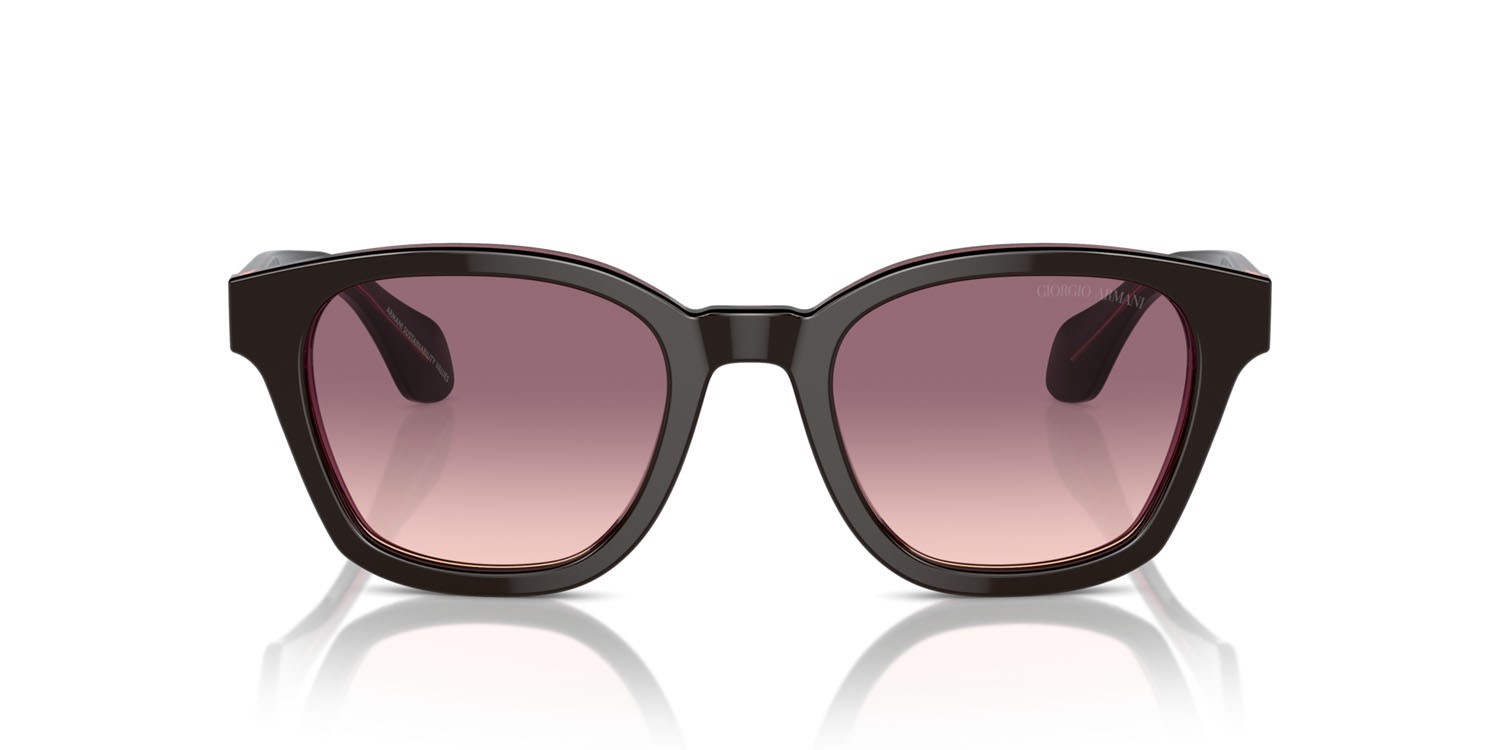 Sonnenbrillen Giorgio Armani AR 8207 (60888D) farbe top marrone/rosa trasparente form pantos gläser rosa sfumato viola