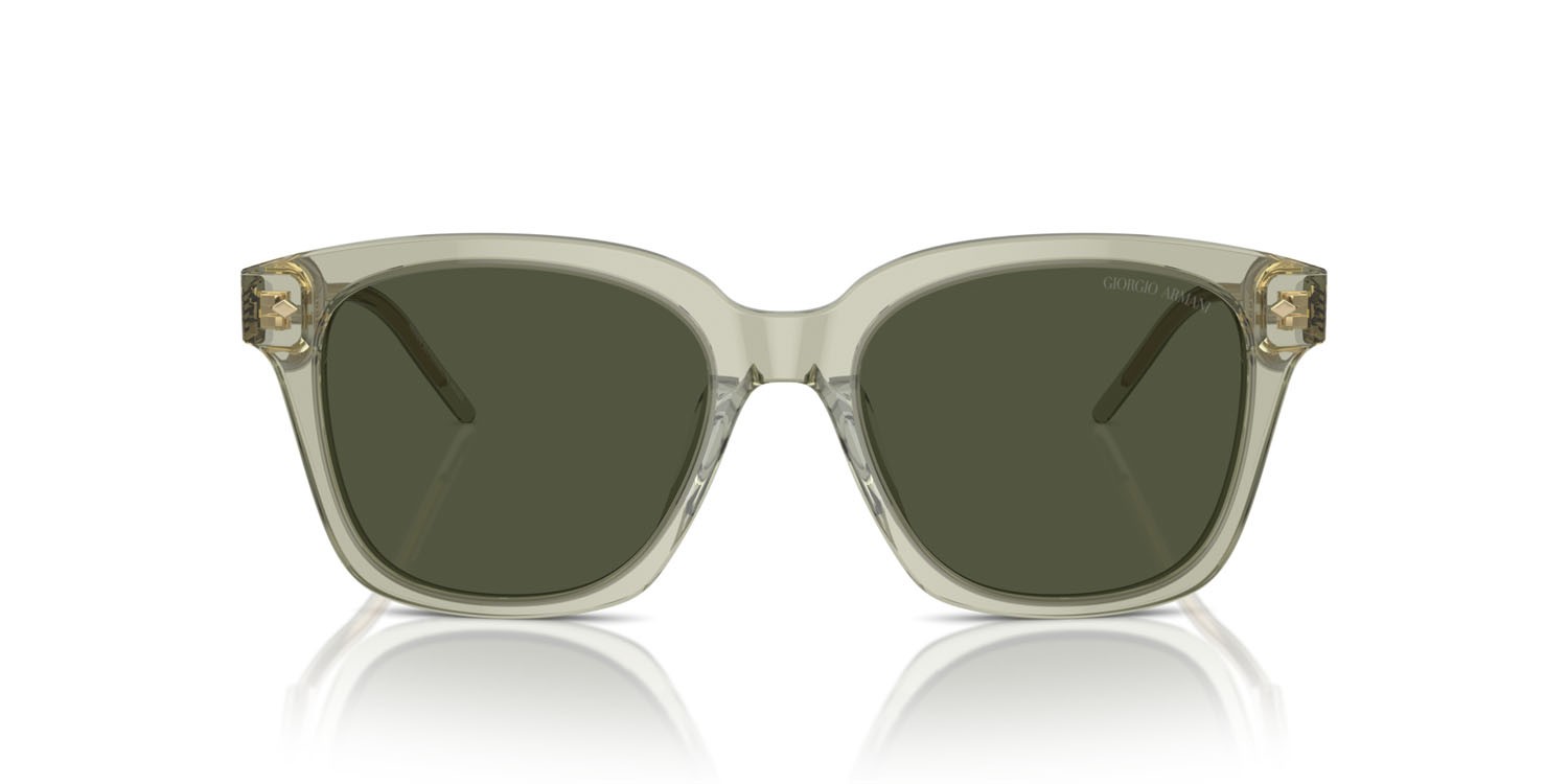 Occhiali da sole Giorgio Armani AR 8210U (608331) colore verde trasparente forma quadrato lenti verde
