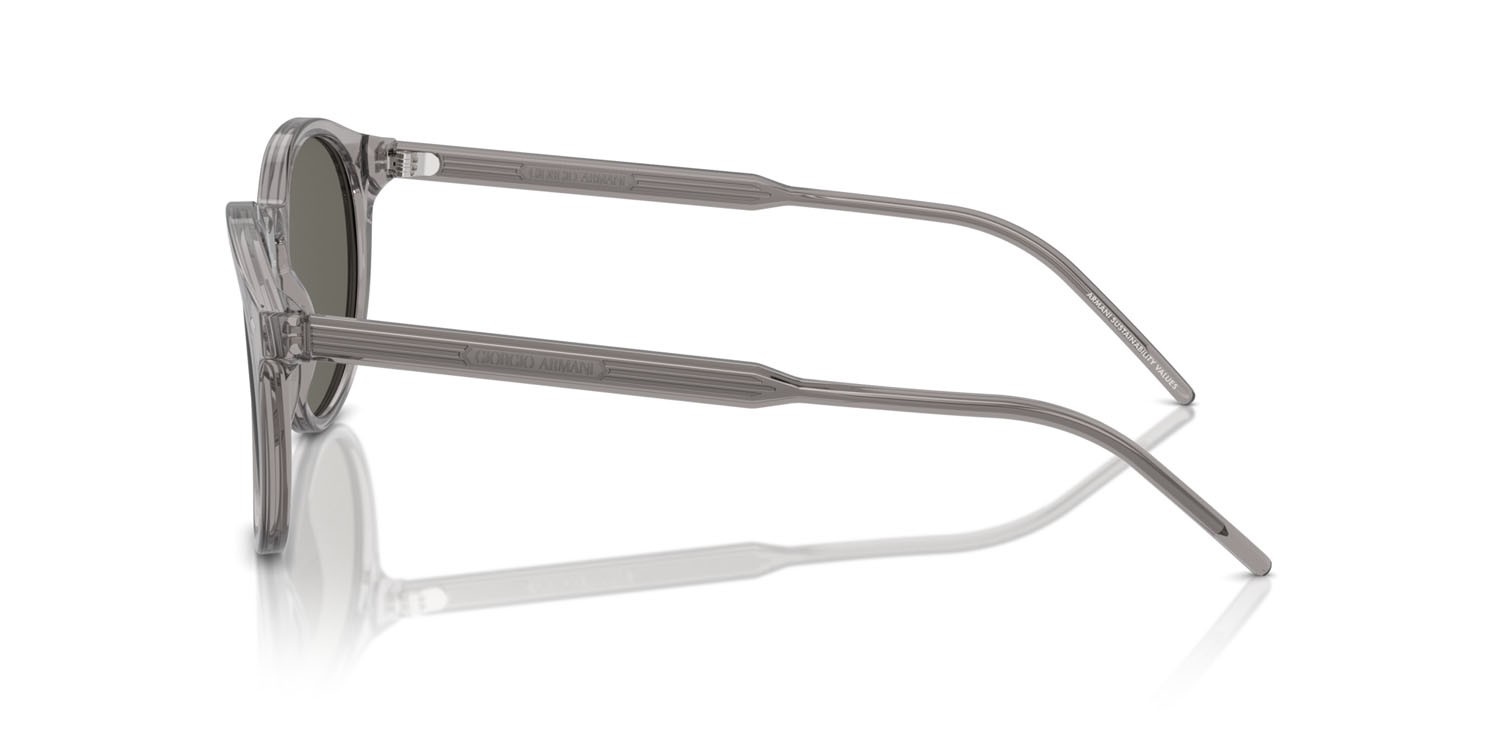 Sunglasses Giorgio Armani AR 8211 (6070R5) color grigio trasparente shape pantos lenses grigio