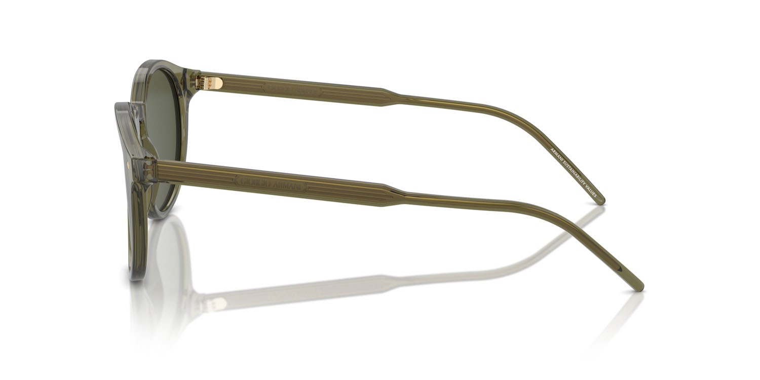 Sunglasses Giorgio Armani AR 8211 (607452) color verde trasparente shape pantos lenses verde