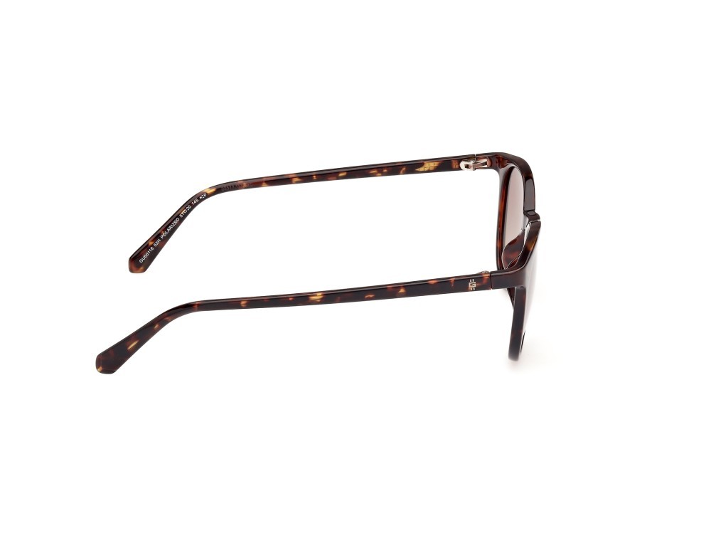 Occhiali da sole Guess GU00118 (52H) colore avana scura forma rotondo lenti marrone polar.