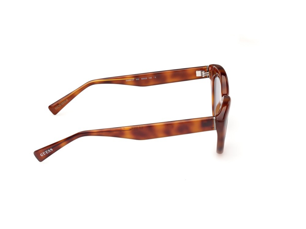 Sonnenbrillen Guess GU00137 (53C) farbe avana bionda form cat-eye gläser fumo specchiato