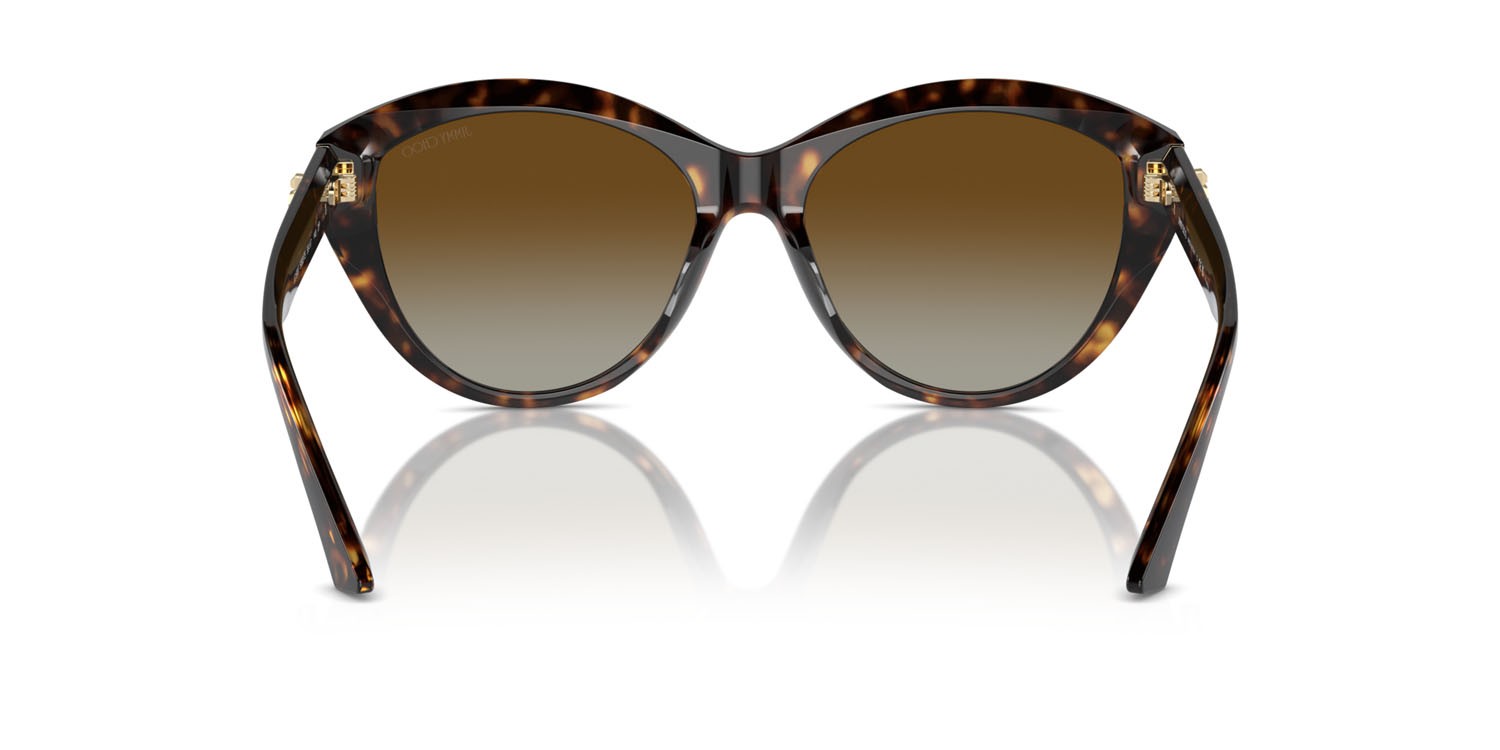 Occhiali da sole Jimmy Choo JC 5007 (5002T5) colore havana forma pantos lenti polarizzata marrone sfumato