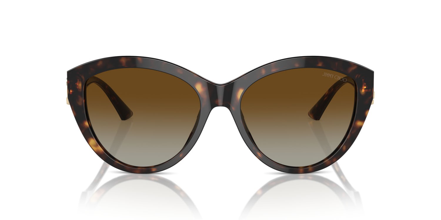 Occhiali da sole Jimmy Choo JC 5007 (5002T5) colore havana forma pantos lenti polarizzata marrone sfumato