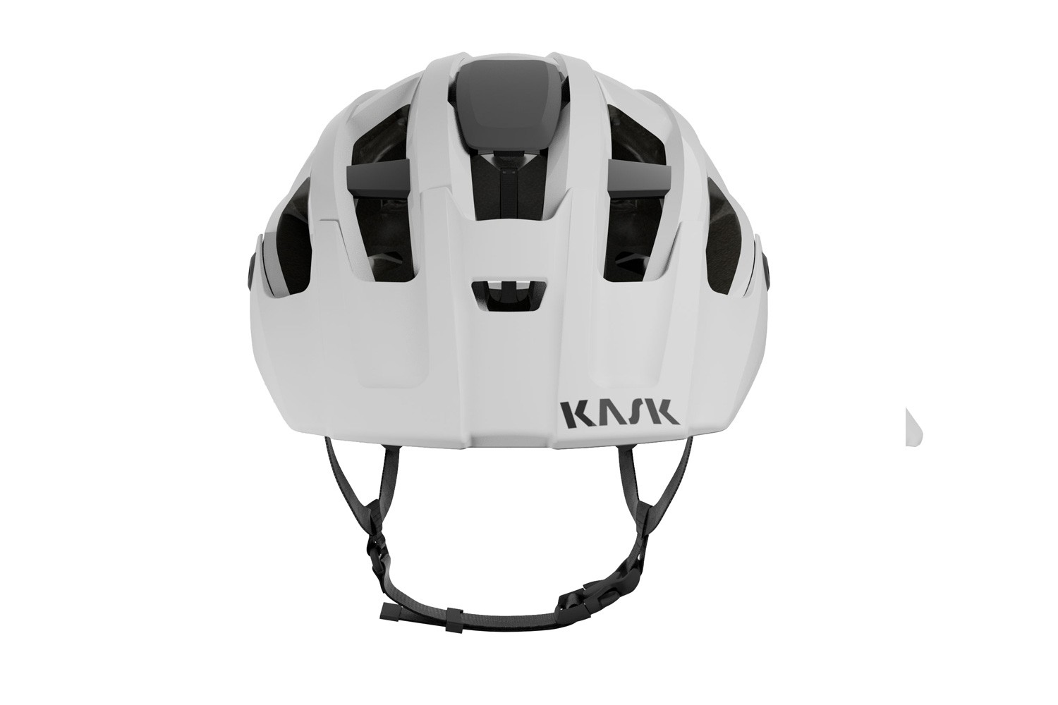 Fahrradhelme Kask Rex White/grey CHE00038343 