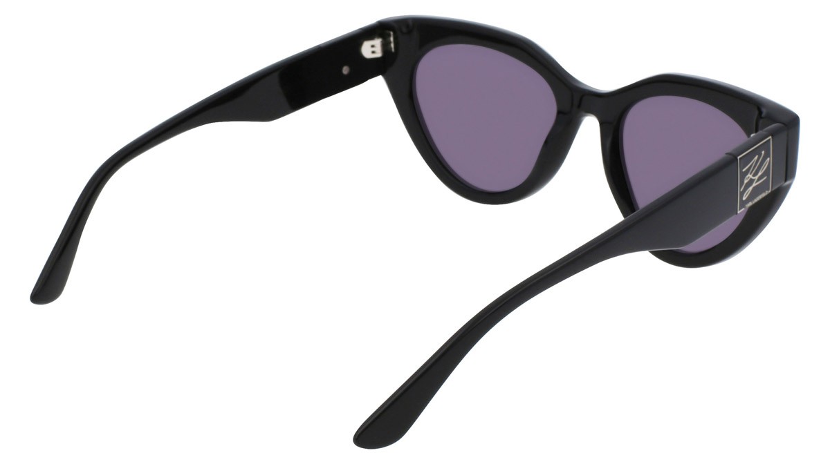Sonnenbrillen Karl Lagerfeld KL6047S (001) farbe black form cat-eye 