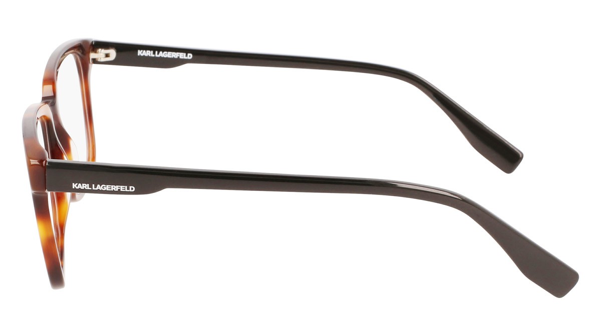 Brillen Karl Lagerfeld KL6082 (240) farbe tortoise form quadratisch 