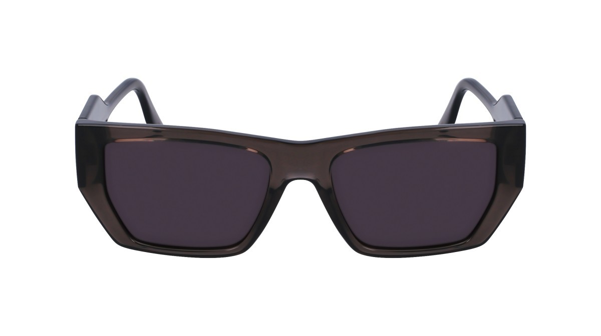 Sonnenbrillen Karl Lagerfeld KL6123S (020) farbe grey form rechteckig gläser solid grey