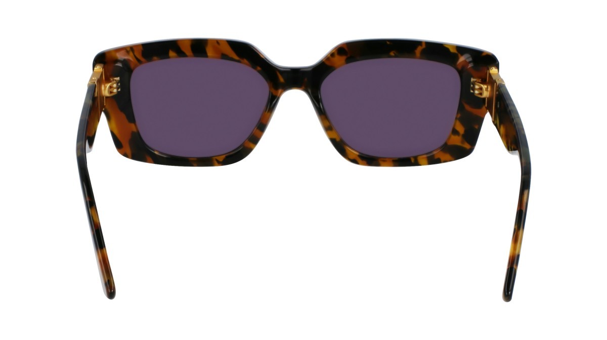 Sonnenbrillen Karl Lagerfeld KL6125S (234) farbe striped tobacco form rechteckig gläser solid grey