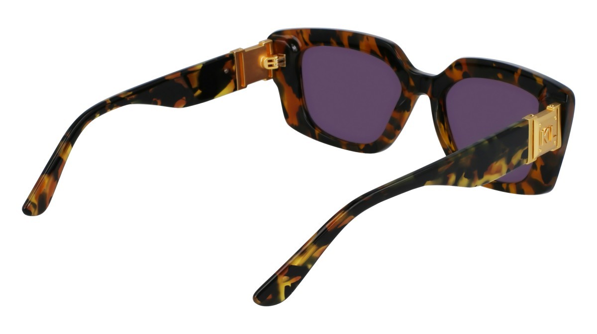 Sonnenbrillen Karl Lagerfeld KL6125S (234) farbe striped tobacco form rechteckig gläser solid grey
