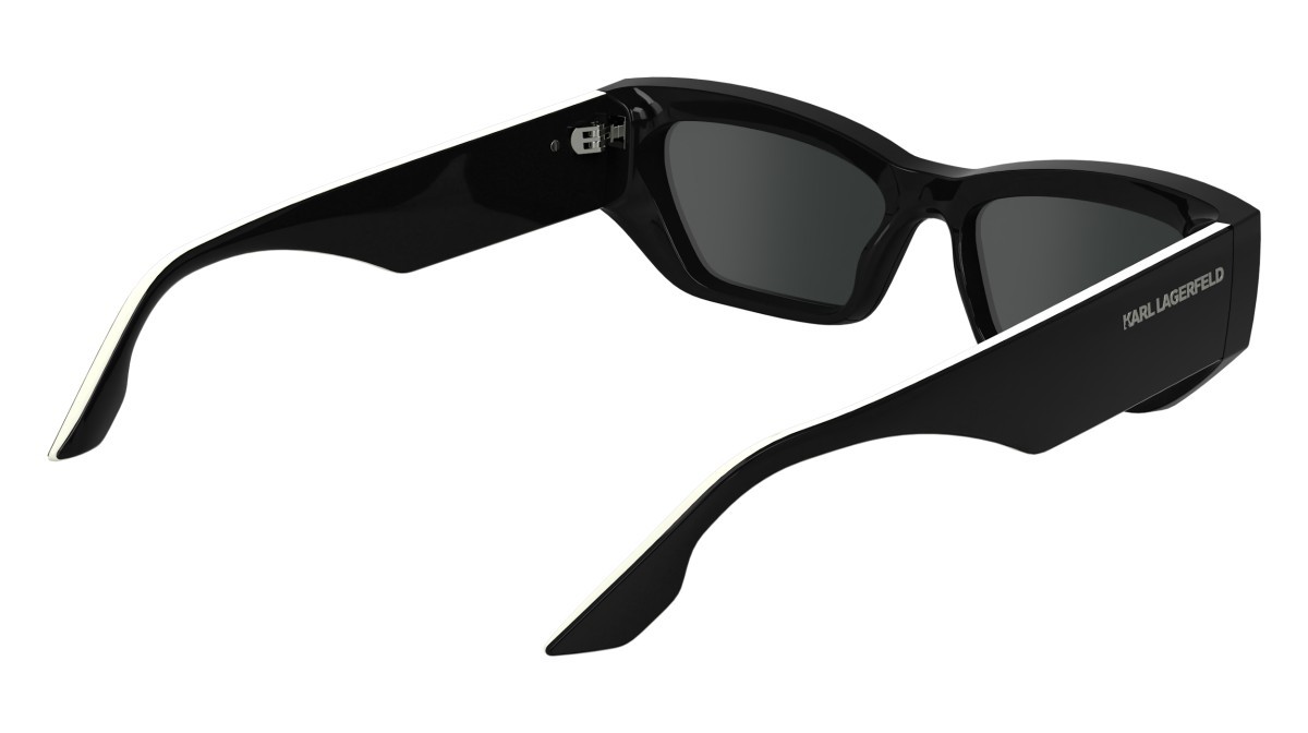 Sonnenbrillen Karl Lagerfeld KL6160S N (001) farbe black form rechteckig 