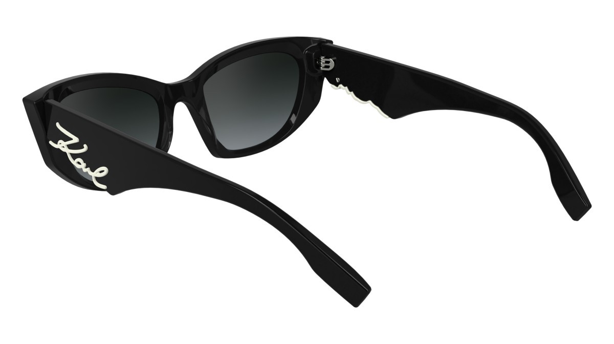 Sonnenbrillen Karl Lagerfeld KL6162S (001) farbe black form cat-eye gläser gradient grey