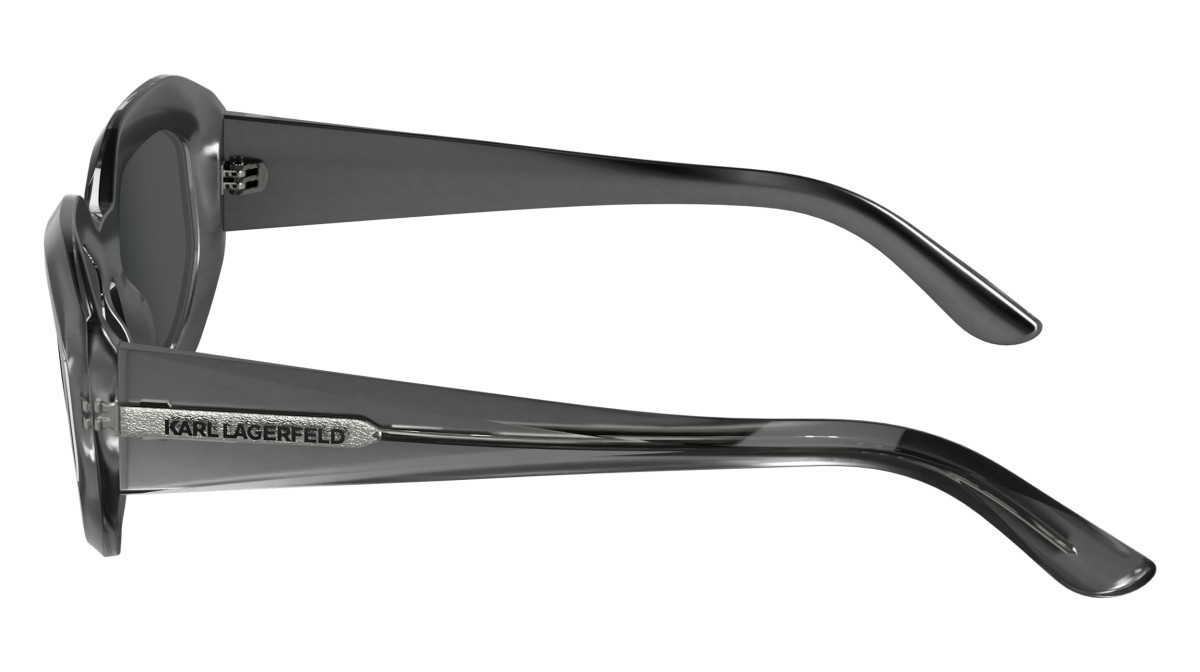 Sonnenbrillen Karl Lagerfeld KL6167S (020) farbe grey form rechteckig gläser solid smoke