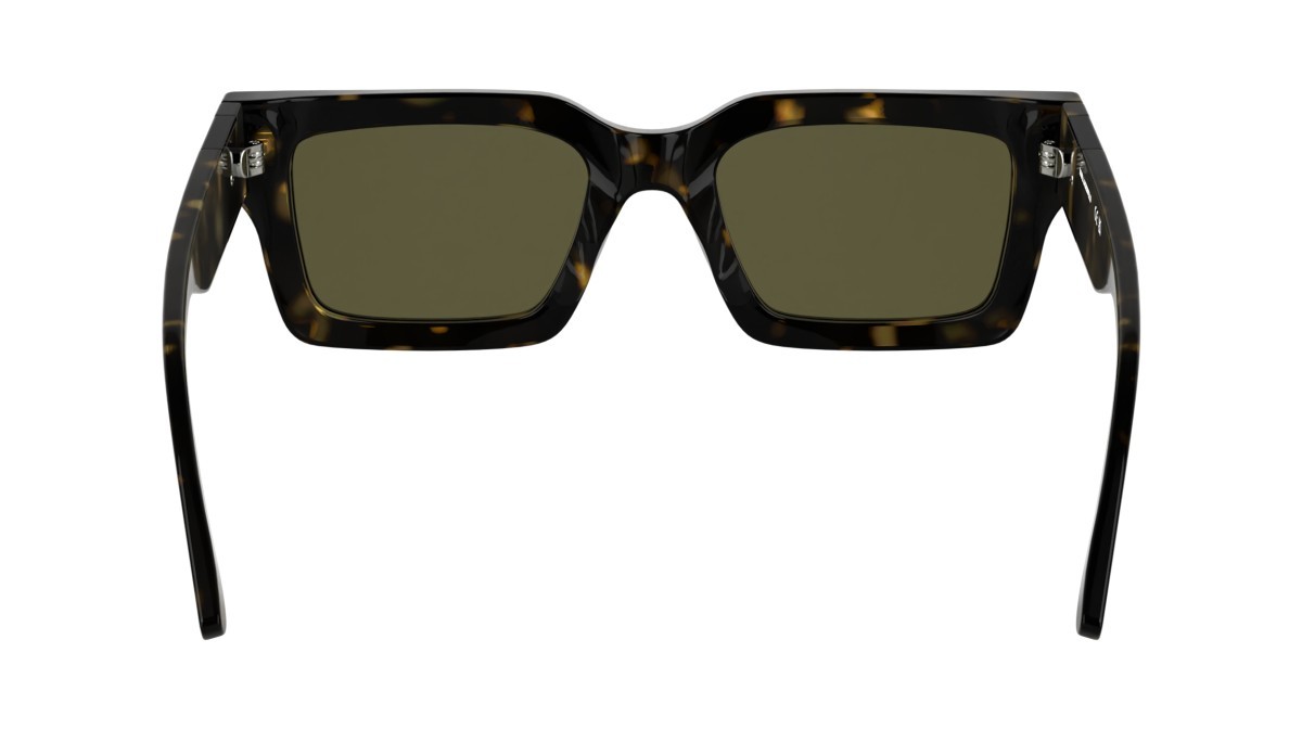 Sonnenbrillen Karl Lagerfeld KL6182S (242) farbe dark tortoise form rechteckig gläser solid brown