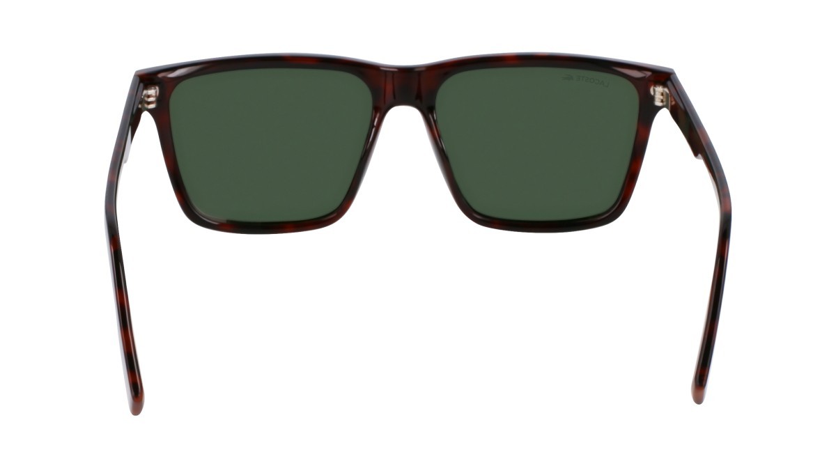 Sunglasses Lacoste L6039S N (214) color havana shape rectangle 