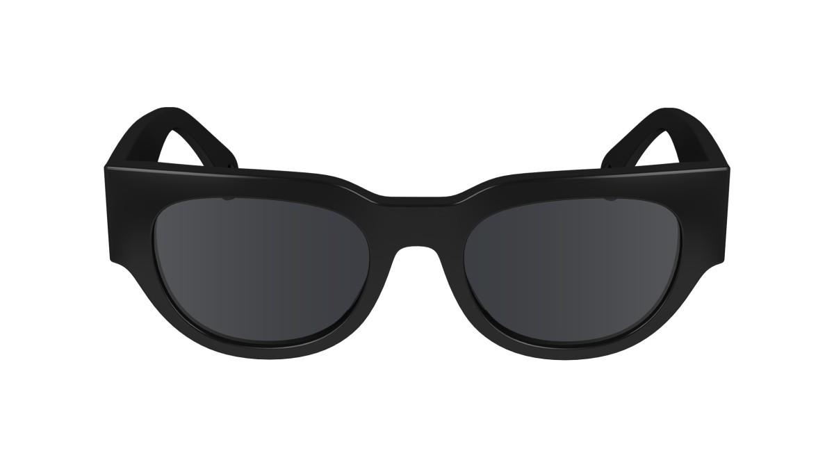 Sonnenbrillen Lanvin LNV670S (001) farbe black form pantos gläser solid grey