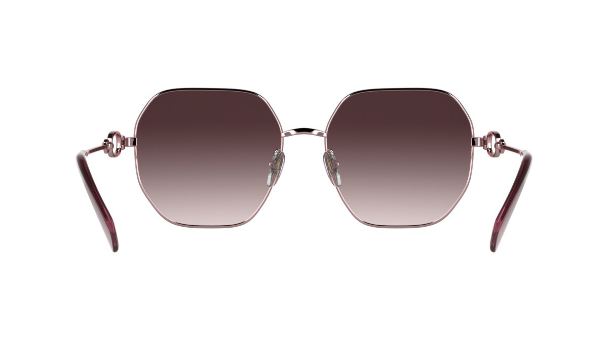 Occhiali da sole Longchamp LO187S (682) colore rose/gradient rose forma quadrato lenti gradienr dark rose