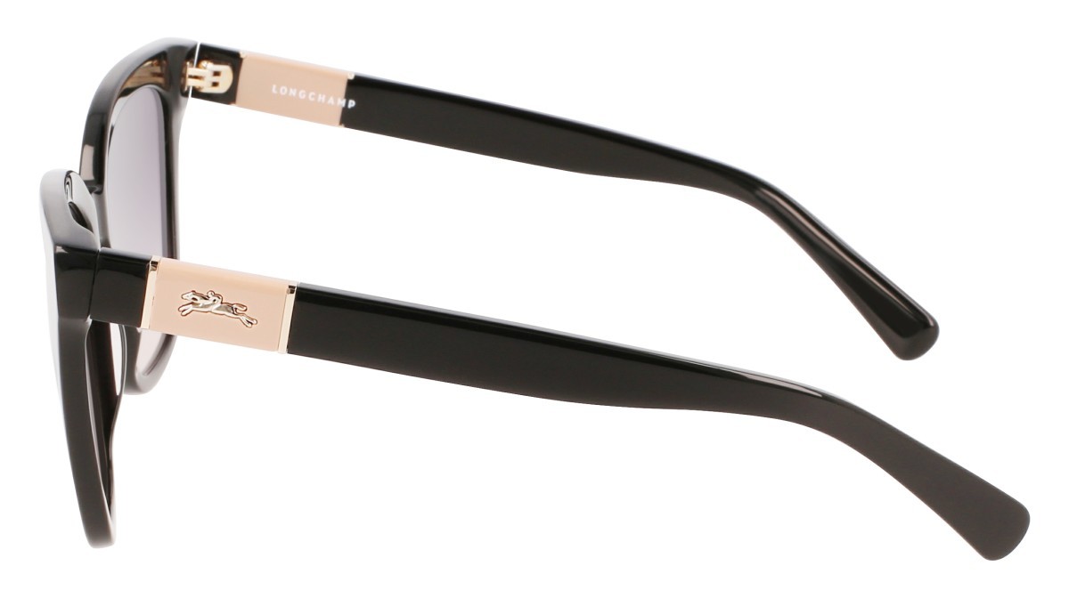 Sunglasses Longchamp LO696S N (001) color black shape rectangle 