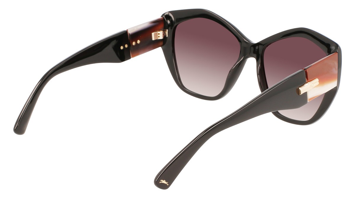 Sonnenbrillen Longchamp LO712S (001) farbe black form pantos 