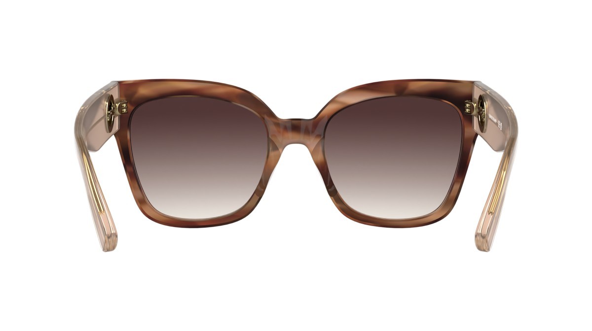 Sunglasses Longchamp LO717S (848) color striped brick brown havana shape pantos lenses gradient brown