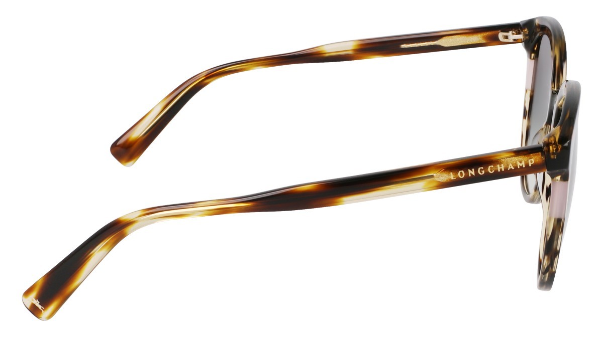Sunglasses Longchamp LO752S (211) color striped brown shape round lenses gradient green