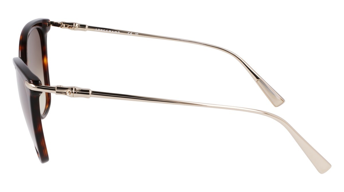 Sunglasses Longchamp LO757S (242) color dark havana shape rectangle lenses khaky gradient