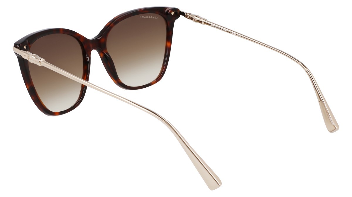 Sunglasses Longchamp LO757S (242) color dark havana shape rectangle lenses khaky gradient