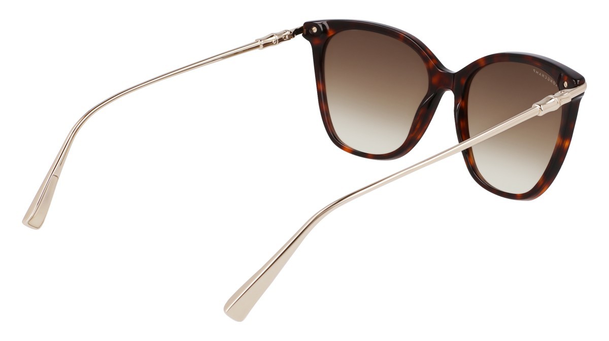 Sunglasses Longchamp LO757S (242) color dark havana shape rectangle lenses khaky gradient