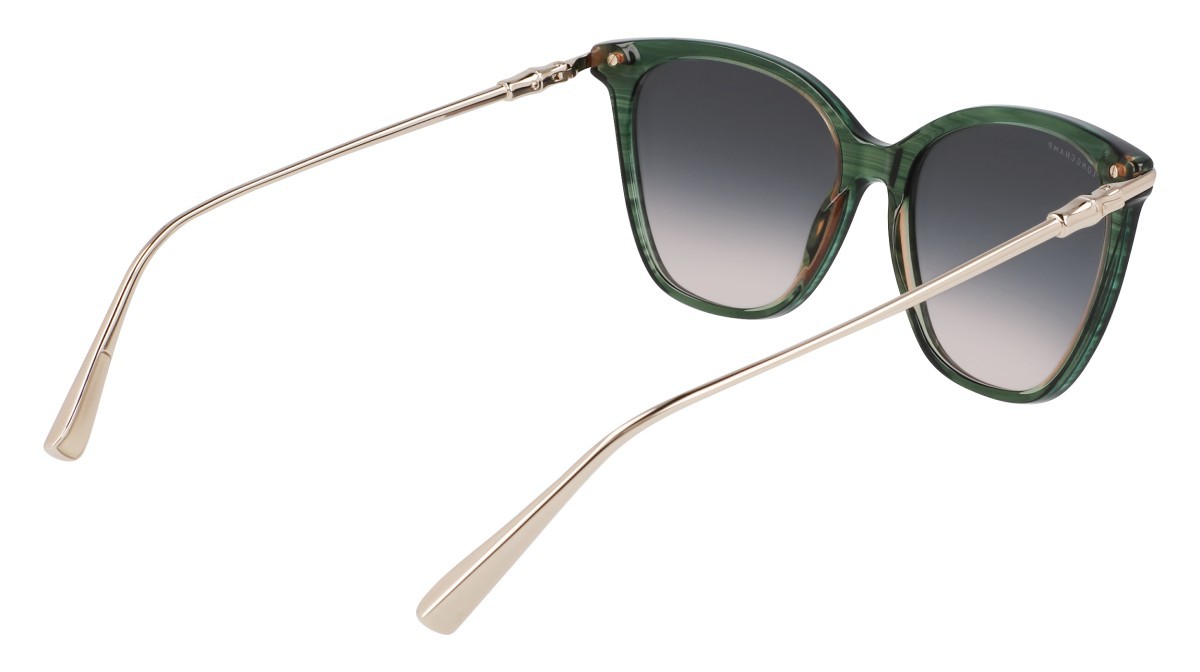 Occhiali da sole Longchamp LO757S N (308) colore striped green forma rettangolare 