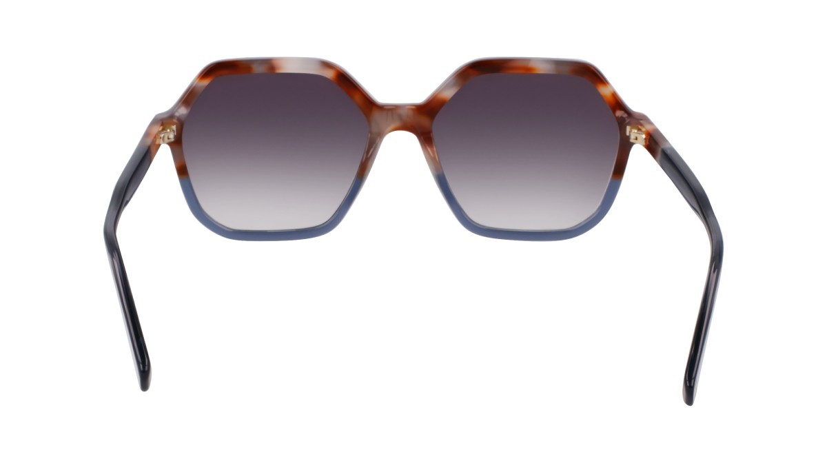 Sonnenbrillen Longchamp LO760S N (261) farbe brown grey havana/azure form rechteckig 