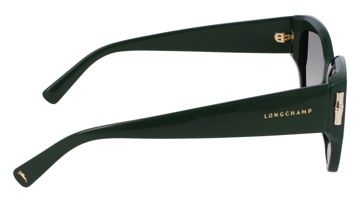 Sunglasses Longchamp LO764S N (303) color green shape butterfly 