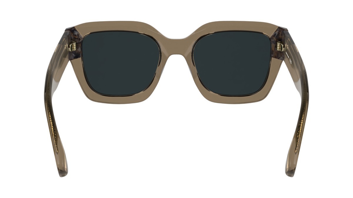 Occhiali da sole Longchamp LO771S N (204) colore transparent brown/textured bro forma rettangolare lenti solid grey