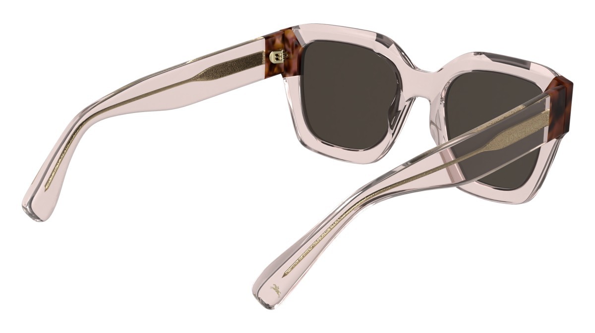Occhiali da sole Longchamp LO771S N (613) colore transparent rose/rose havana forma rettangolare lenti solid brown