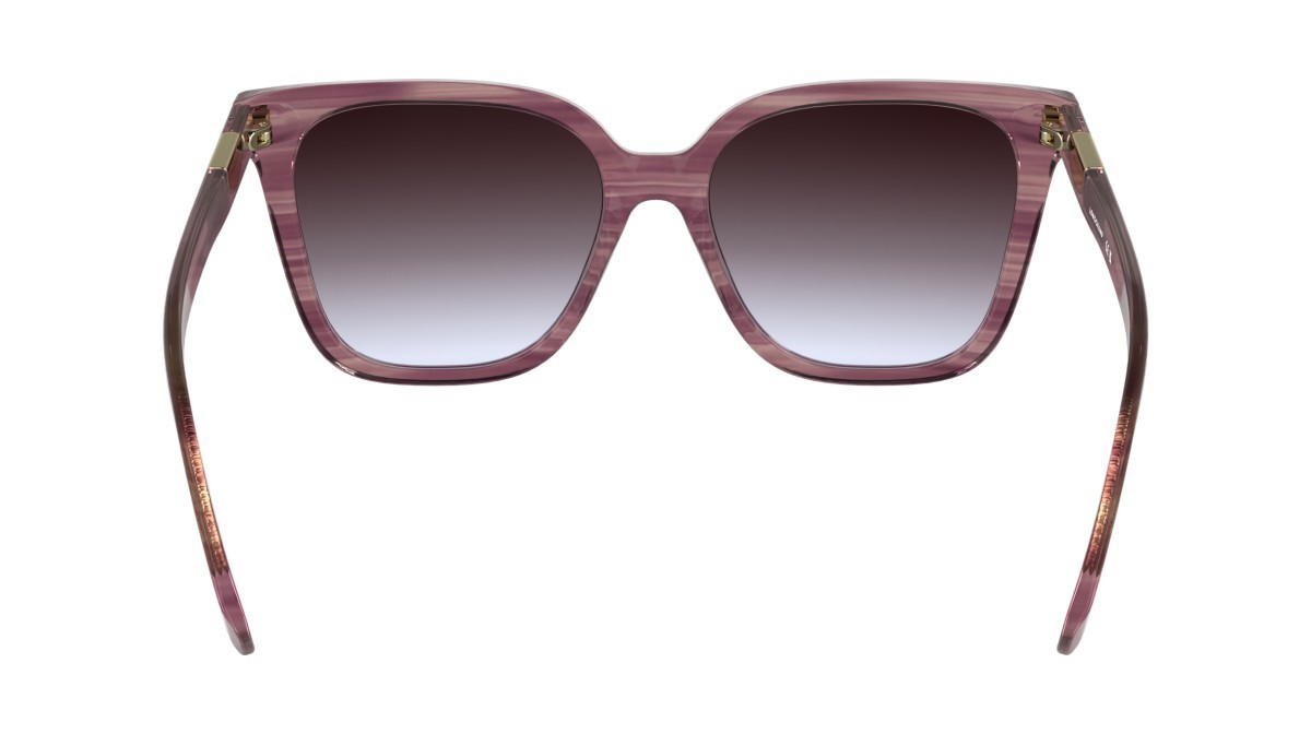 Occhiali da sole Longchamp LO772S (503) colore striped purple forma farfalla lenti gradient purple/grey