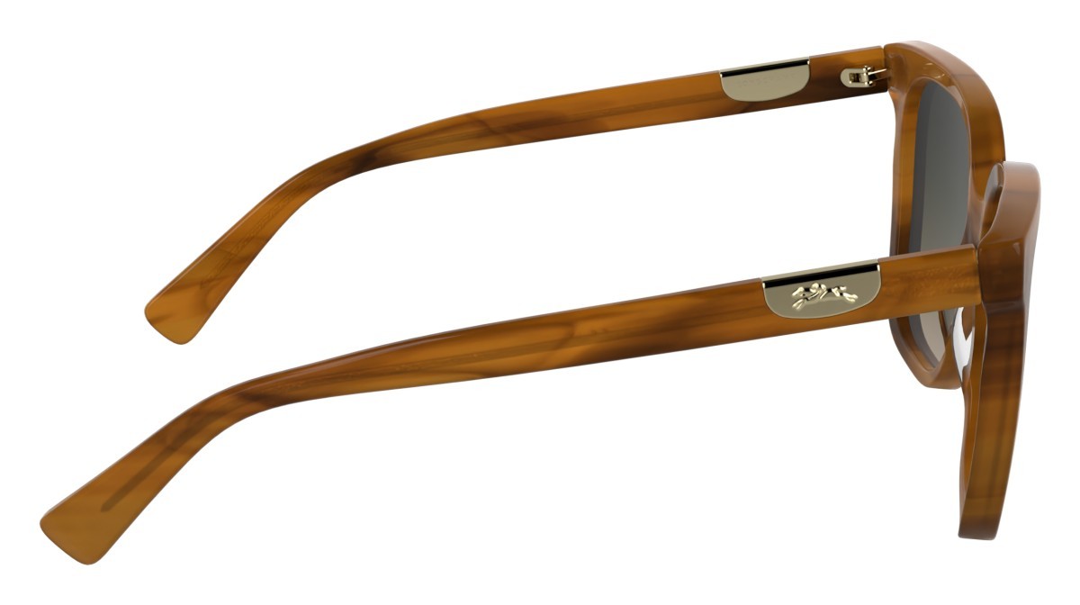 Sunglasses Longchamp LO772S N (211) color striped brown shape butterfly 