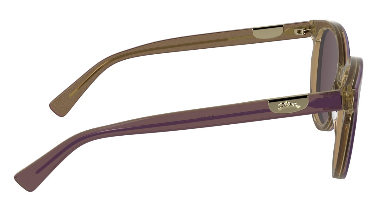 Occhiali da sole Longchamp LO773S (506) colore glitter purple forma rotondo lenti solid purple
